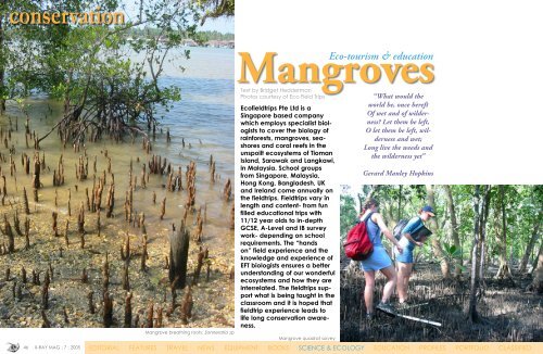 Mangrove - X-Ray Magazine