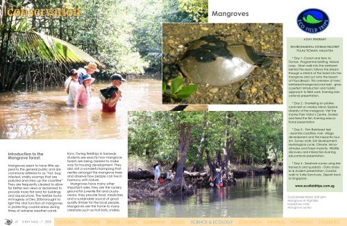 Mangrove - X-Ray Magazine