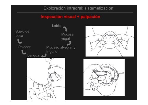 Curso Diagnóstico precoz del cáncer oral.