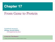 From Gene to Protein