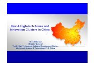 New & High-tech Zones and Innovation Clusters in China