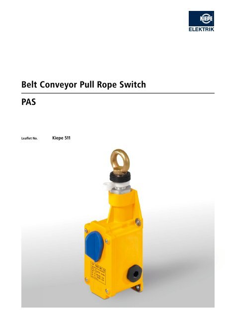 Belt Conveyor Pull Rope Switch PAS