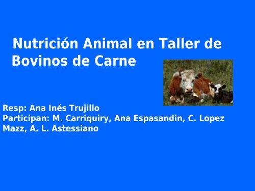 2011.Taller B.C.Intr.. - Departamento de ProducciÃ³n Animal y Pasturas