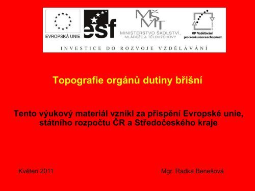 Topografie orgÃ¡nÅ¯ dutiny bÅiÅ¡nÃ­