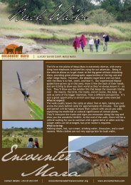 Download Full-Length Bush-Walks PDF - Encounter Mara