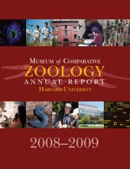 MCZ Annual Report 2008-2009 - Museum of Comparative Zoology ...