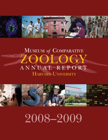 MCZ Annual Report 2008-2009 - Museum of Comparative Zoology ...