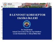 CD19 eksikliği - Frame
