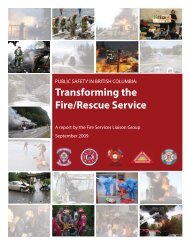 Transforming the Fire Service - Fire Services Liaison Group