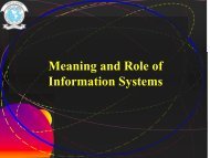 Meaning and Role of Information Systems