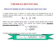 CHEMICKÃ ROVNOVÃHA