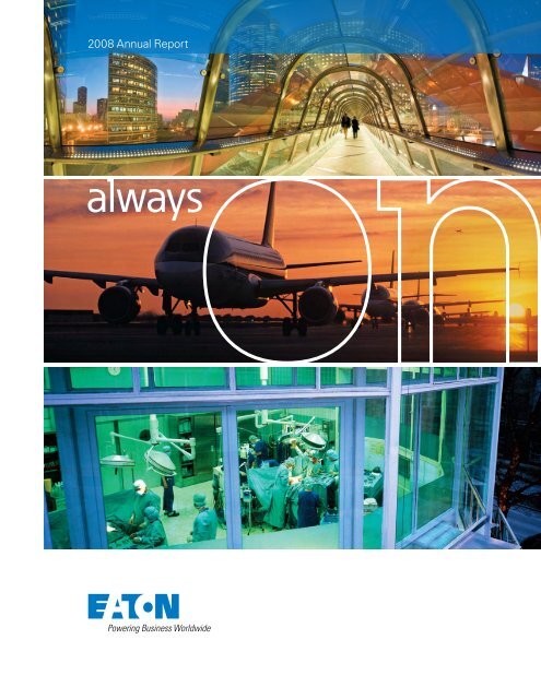 Eaton 2008 Annual Report - Moeller