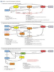 OTC Deriv Trade Flow_1 - FpML