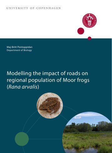 Modelling the impact of roads on regional population of Moor frogs ...