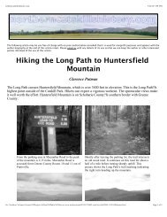 art - Northern Catskills History