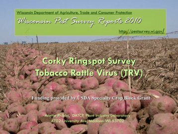 Corky Ringspot & Powdery Scab Surveys of Potato ... - Pest Survey