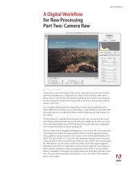 A Digital Workflow for Raw Processing Part Two: Camera Raw