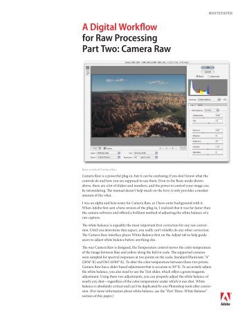A Digital Workflow for Raw Processing Part Two: Camera Raw