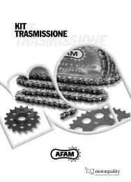 Catalogo e Prezzi (IVA esclusa) AFAM Kit Trasmissione - Motorquality