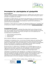 Procesplan for udarbejdelse af cykelpolitik - Cykler uden grænser