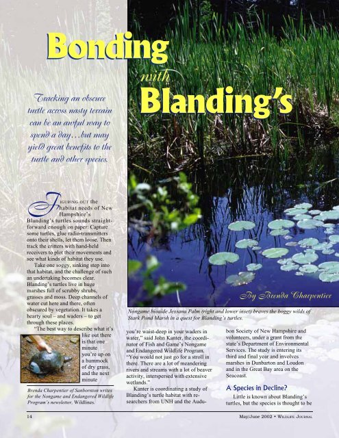 Bonding with Blanding's Turtle - New Hampshire Fish and Game ...