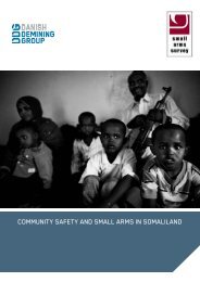 Community Safety in Somaliland - Small Arms Survey