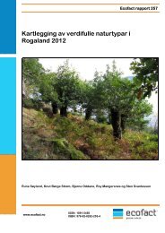 Kartlegging av verdifulle naturtypar i Rogaland 2012 - EcoFact