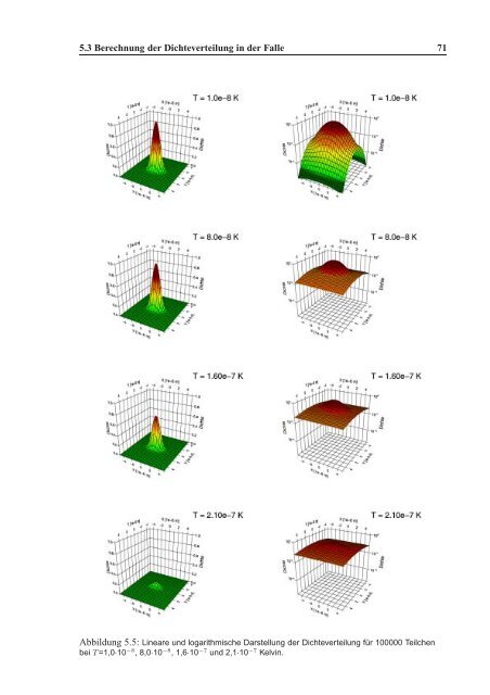 Bose-Einstein-Kondensation in magnetischen und optischen Fallen