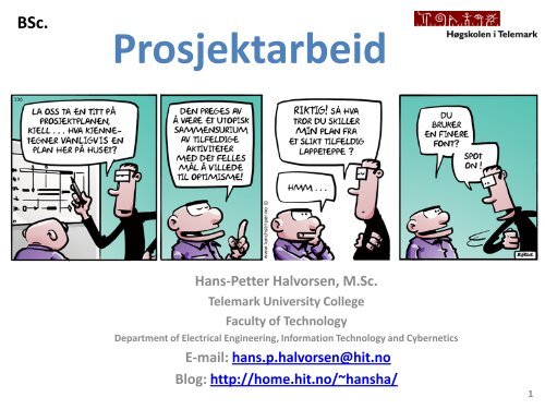 Prosjektarbeid - Høgskolen i Telemark