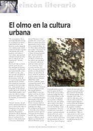 El olmo en la cultura urbana - aitim