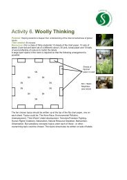 Activity 6. Woolly Thinking