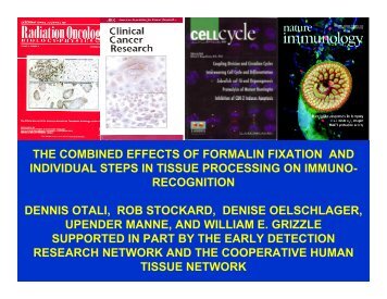 Effects of Fixation vs. Tissue Processing on Immunohistochemical ...