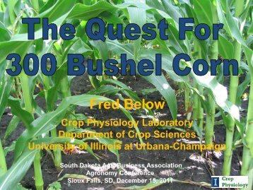 The Quest for 300 Bushel Corn - South Dakota Agri-Business ...