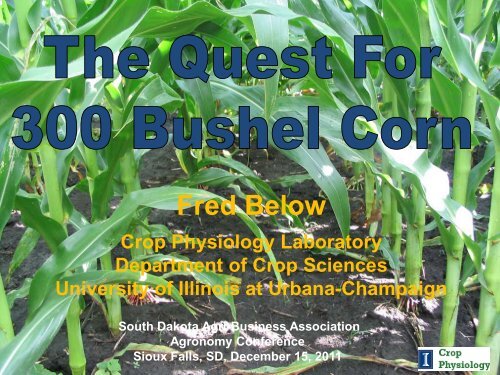 The Quest for 300 Bushel Corn - South Dakota Agri-Business ...