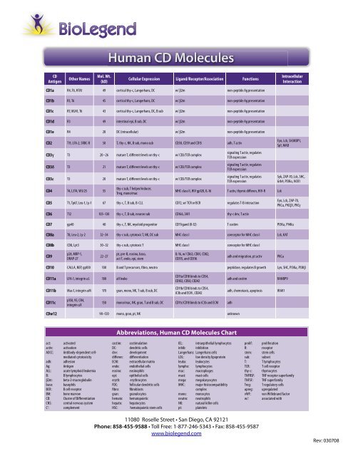 Human CD Molecules - BioLegend