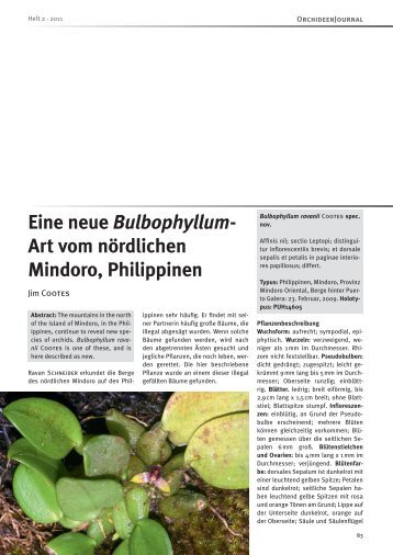 Eine neue Bulbophyllum- Art vom nÃ¶rdlichen Mindoro, Philippinen