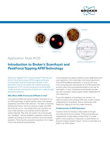 Introduction to Bruker's ScanAsyst and PeakForce Tapping AFM