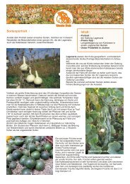 KÃ¼rbis-Newsletter 6/2008 - bobby-seeds.com, Floveg GmbH