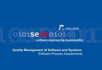 The CMM and the Assessment Questions