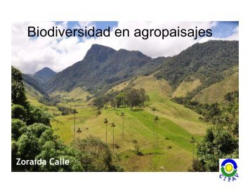 Biodiversidad en agropaisajes