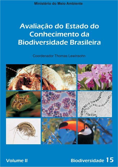 Raríssimo macaco híbrido chama atenção de cientistas em novo