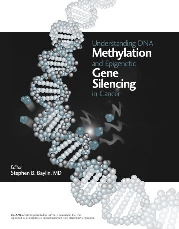 Understanding DNA Methylation Gene Silencing