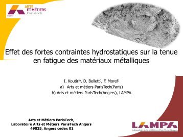 Effet des fortes contraintes hydrostatiques en fatigue Ã  grand ... - SF2M