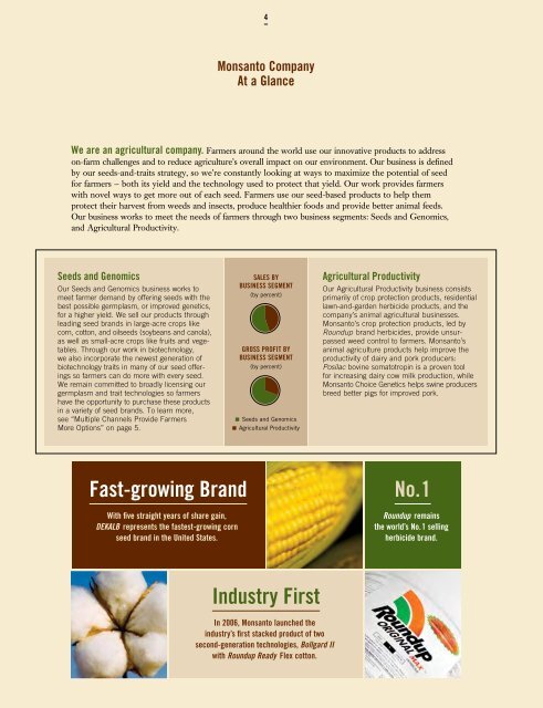 2006 Annual Report - Monsanto