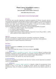 Introduzione - La Chimica a Napoli - UniversitÃ  degli Studi di Napoli ...