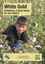 White Gold: Uzbekistan, A Slave Nation For Our ... - Cotton Campaign