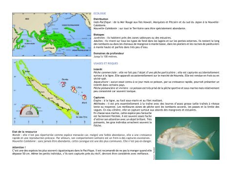 Caranx ignobilis - IFRECOR Nouvelle-CalÃ©donie