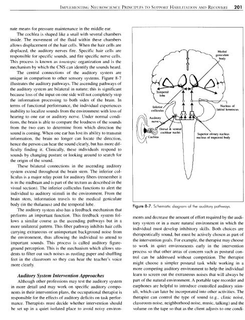 Implementing Neuroscience Principles to Support Habilitation and ...