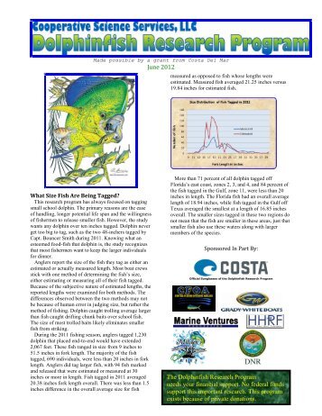 Jun - SC Dolphin Tagging Project