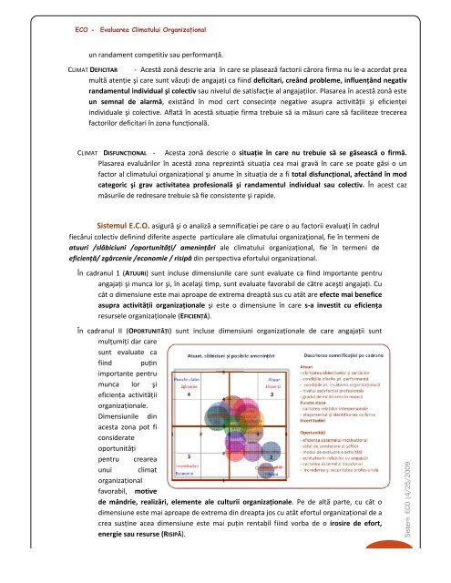 Raport Preliminar - dr. Ticu Constantin